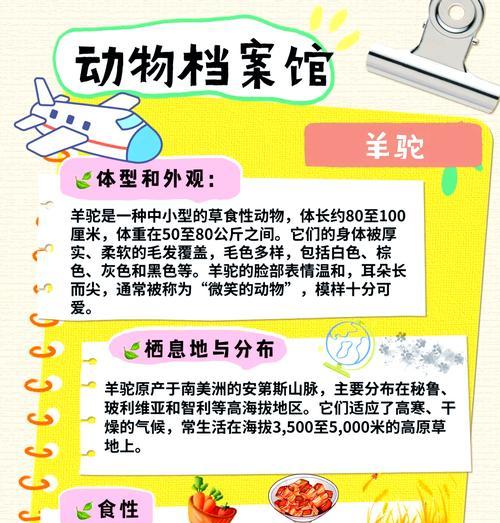 羊驼爱啃咬什么生肖？如何防止宠物间的不适当行为？
