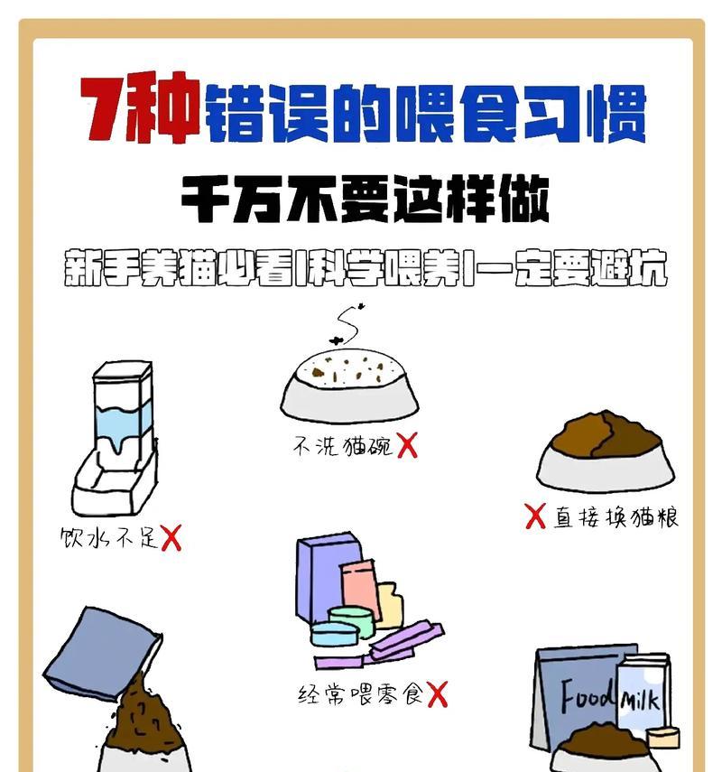 猫粮太多了怎么放水里喝？如何正确喂食猫粮？