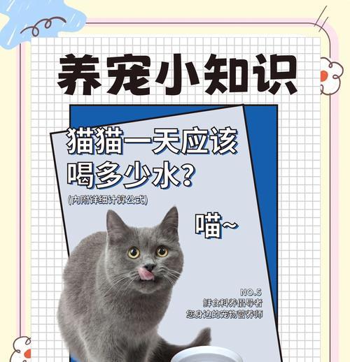 猫粮太多了怎么放水里喝？如何正确喂食猫粮？
