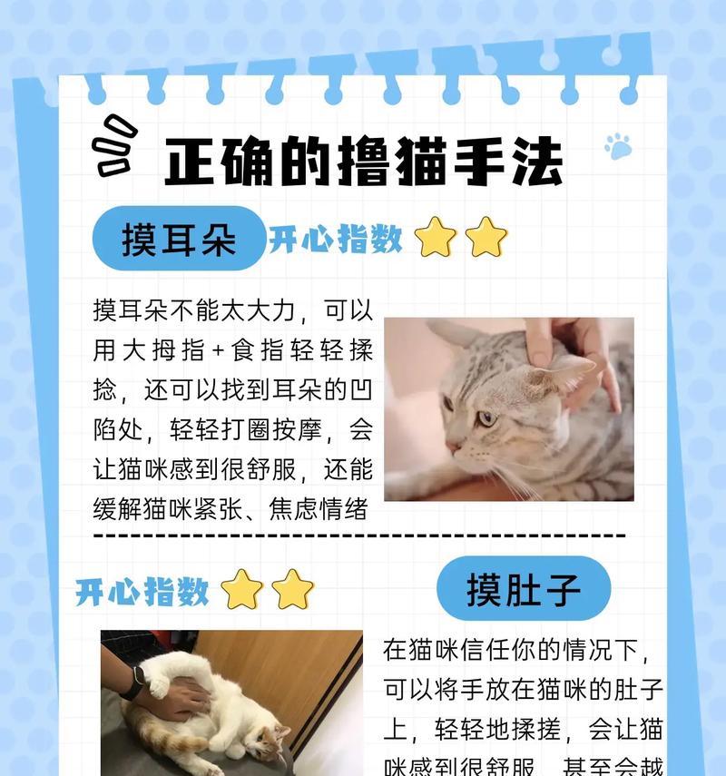 怎么让猫乖乖地吃猫粮呢？有哪些有效方法？