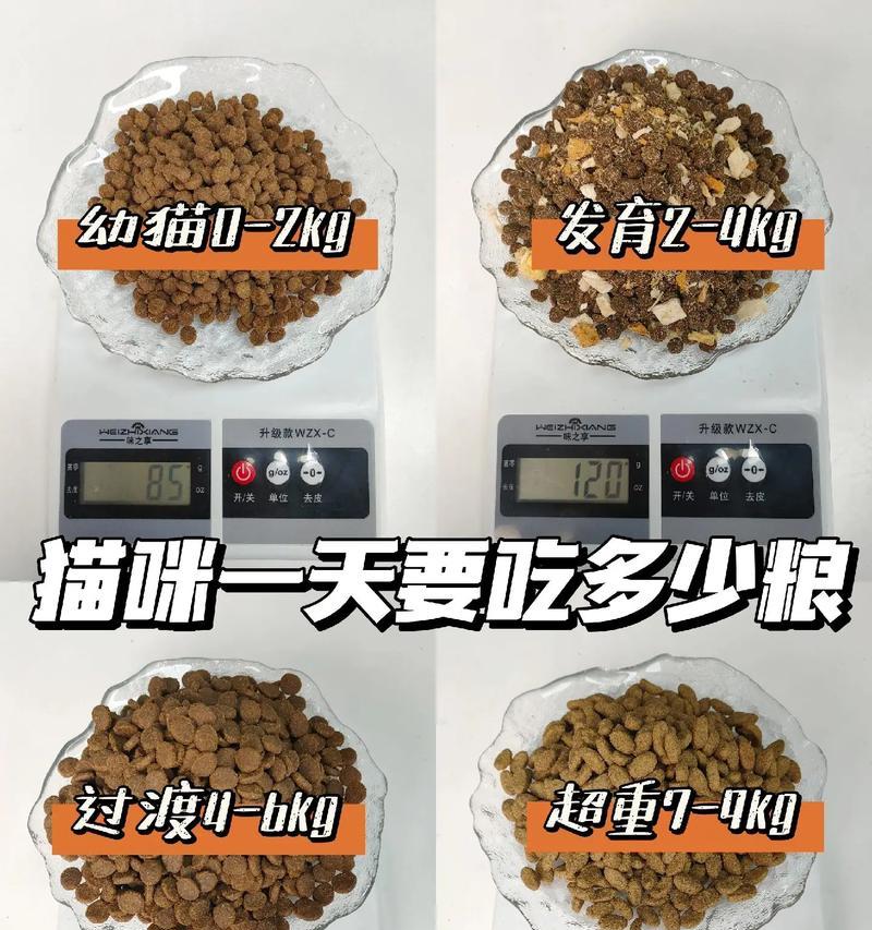 猫吃多少猫粮算正常？猫粮摄入量异常的原因是什么？