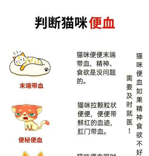 猫咪换粮后眼屎变红应该怎么办？