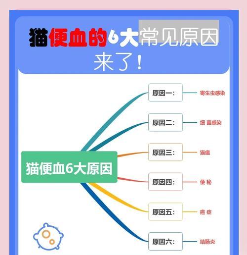 猫咪换粮后眼屎变红应该怎么办？