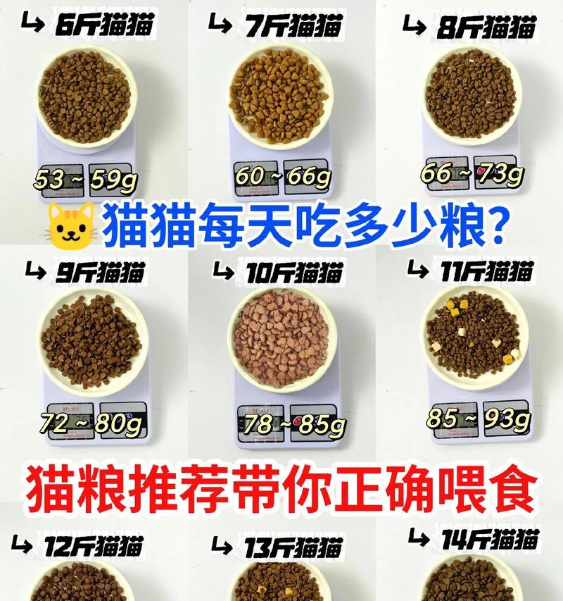 幼猫每次应该喂多少粒猫粮？