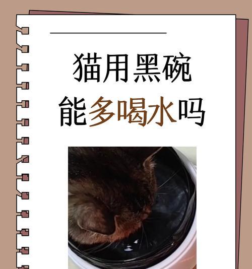 猫吃完猫粮后饮水行为的解释是什么？