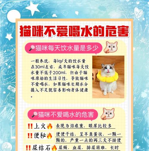 猫吃完猫粮后饮水行为的解释是什么？