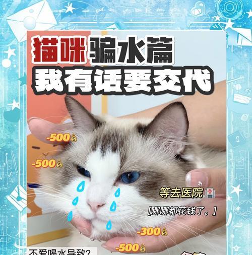 猫吃完猫粮后饮水行为的解释是什么？