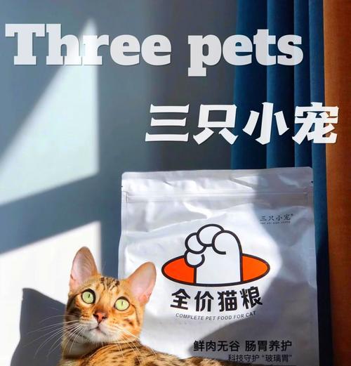 忘记带猫粮时小猫吃什么替代？