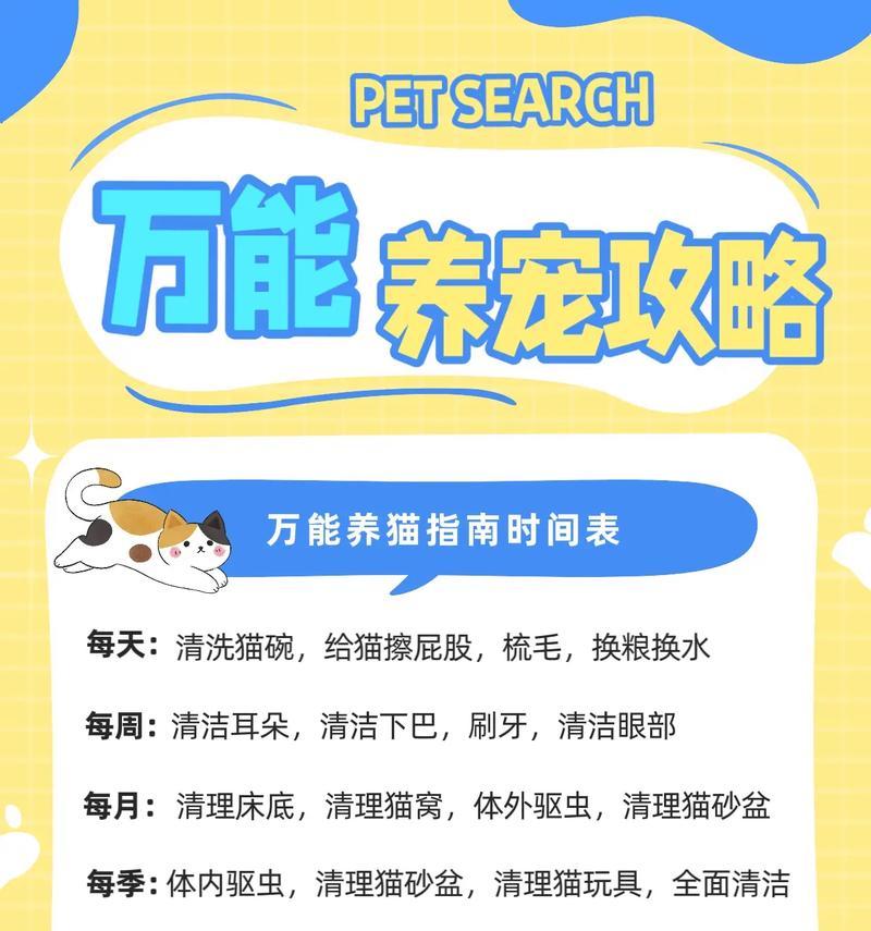 一天给猫喂猫粮时间怎么算？如何合理安排猫咪的喂食时间？