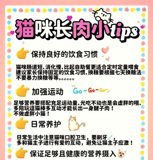 只吃猫粮的猫如何快速增肥？有哪些方法？