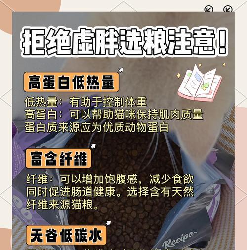 只吃猫粮的猫如何快速增肥？有哪些方法？