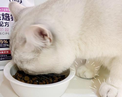猫为什么会特别喜欢吃猫粮？这背后有什么原因？