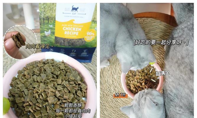 公猫吃干猫粮的正确方法是什么？