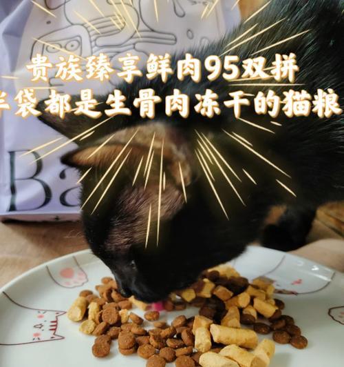 生骨肉与猫粮如何合理搭配？
