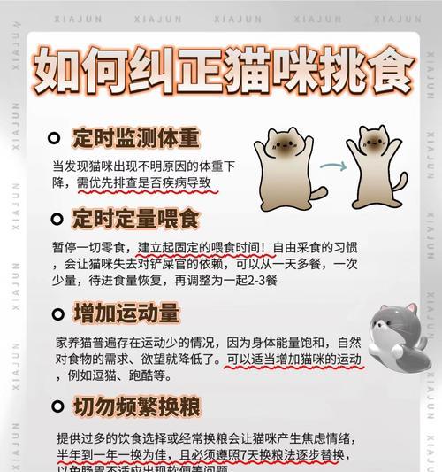 猫咪拒食怎么办？如何刺激食欲？