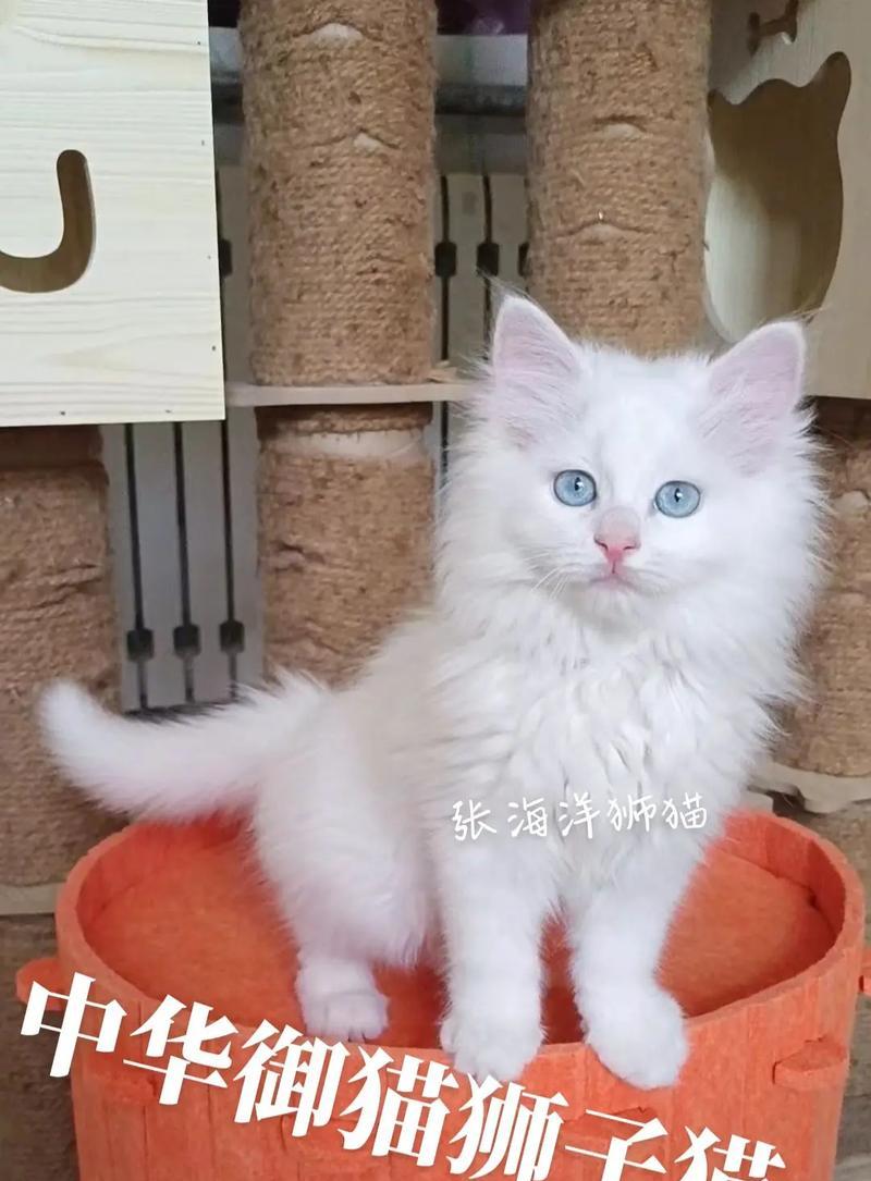 哪个品牌的猫粮有狮子图案？狮子图案猫粮品牌的特点是什么？