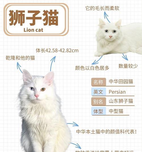 哪个品牌的猫粮有狮子图案？狮子图案猫粮品牌的特点是什么？
