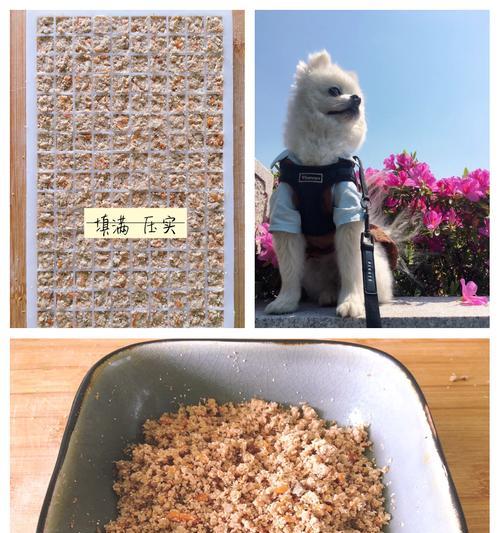 如何有效控制狗狗对自制狗粮的喜爱？
