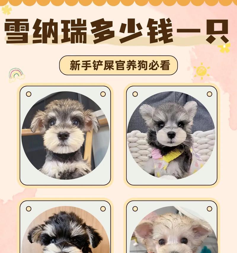布加迪雪纳瑞多少斤重？标准体重是多少？