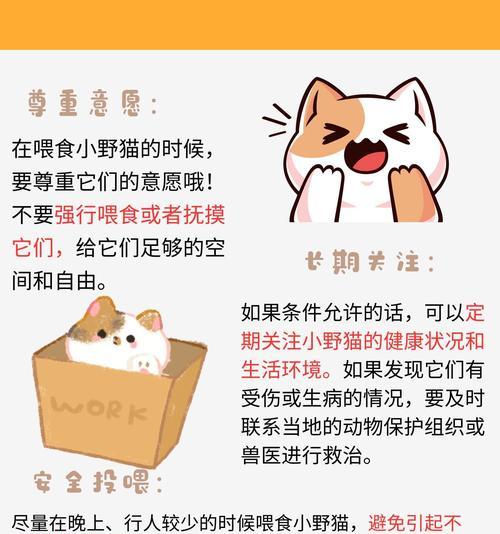 猫咪拒食猫粮怎么办？如何引导猫咪进食？