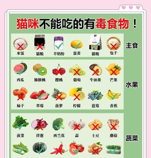 猫咪拒食猫粮怎么办？如何引导猫咪进食？