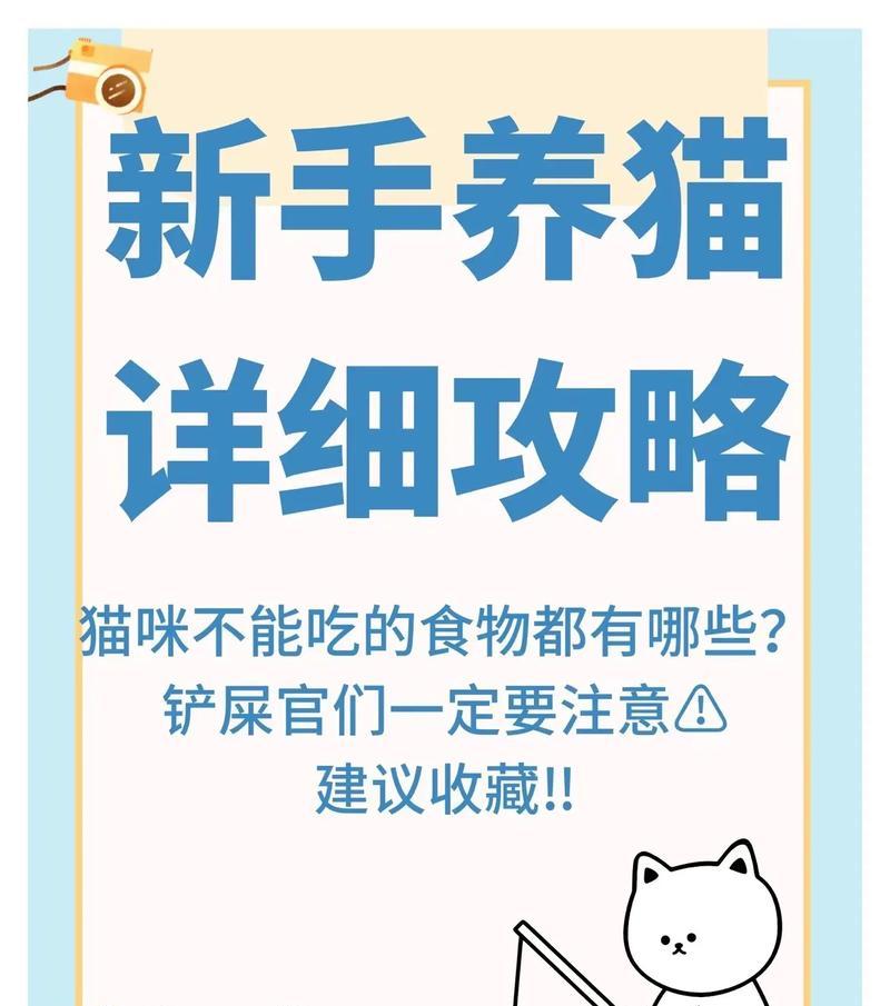 小猫只叫不吃猫粮该如何处理？