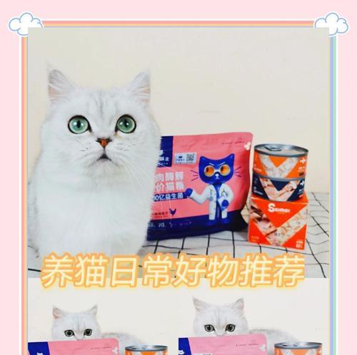 一岁多的金渐层猫咪应该吃什么猫粮？有哪些推荐？