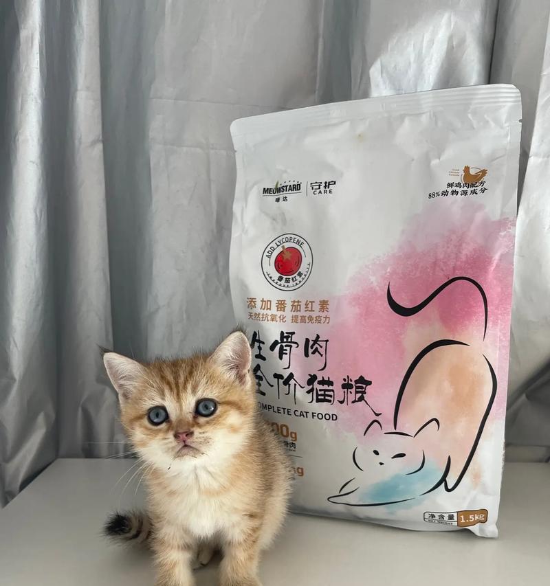 一岁多的金渐层猫咪应该吃什么猫粮？有哪些推荐？