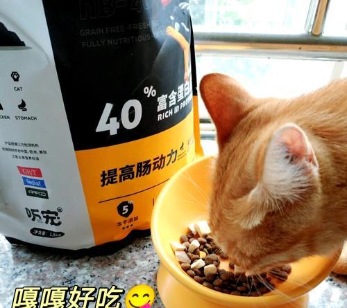 哪种猫粮能让猫咪排便不臭？
