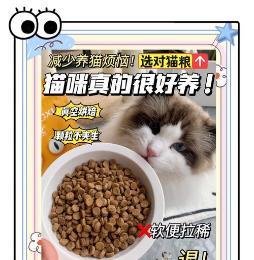 哪种猫粮能让猫咪排便不臭？