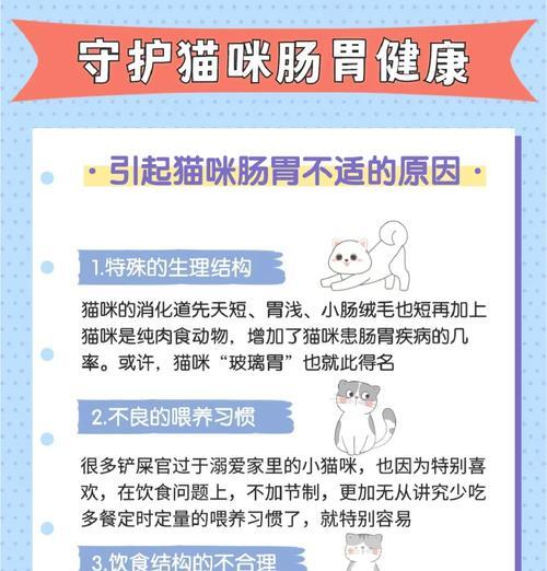 如何选择消化易吸收的猫粮？