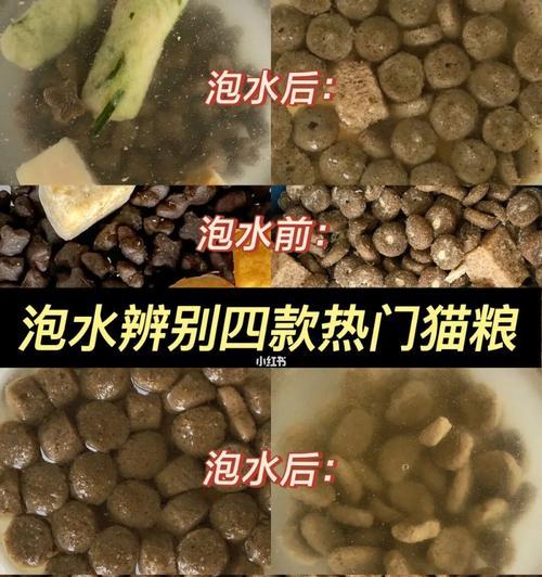 猫粮泡水后如何判断其质量？