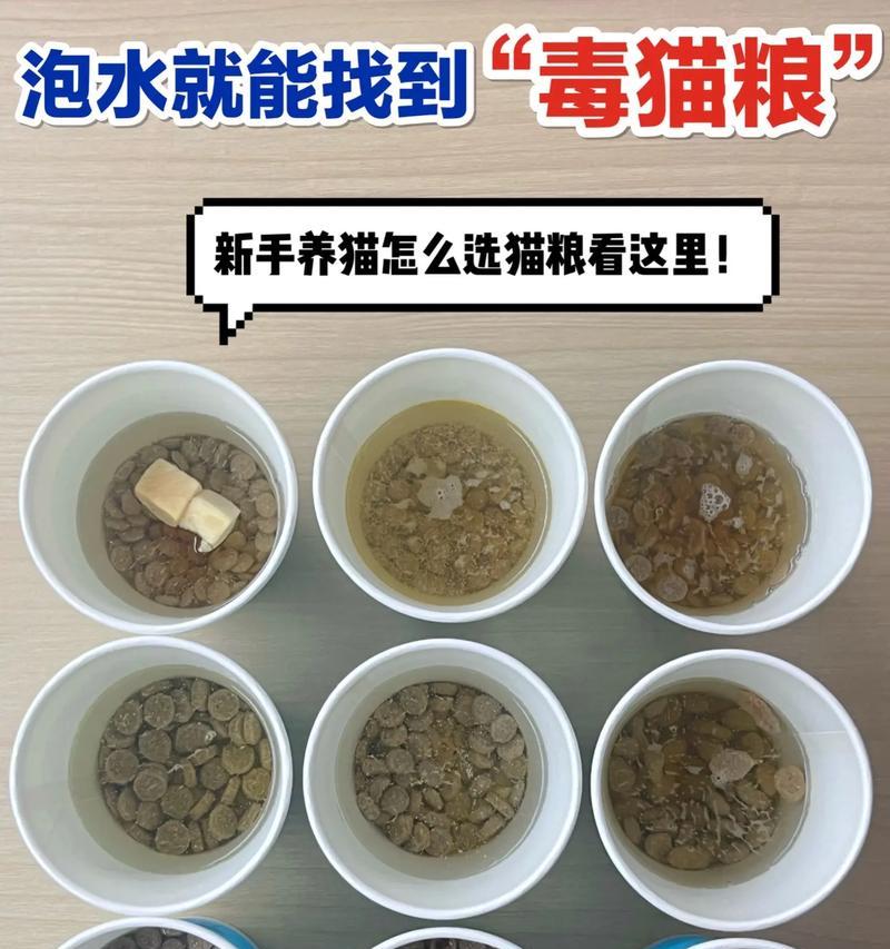 猫粮泡水后如何判断其质量？