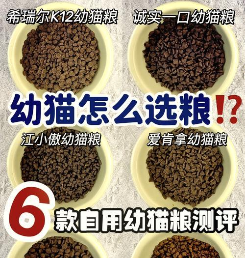 如何制作美味又营养的幼猫猫粮？