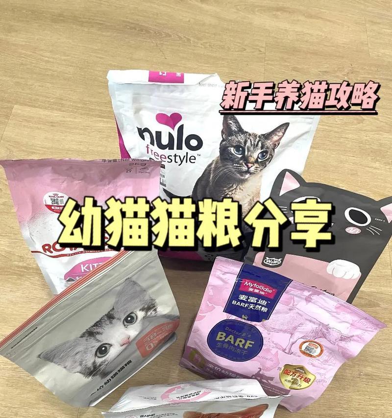 如何制作美味又营养的幼猫猫粮？