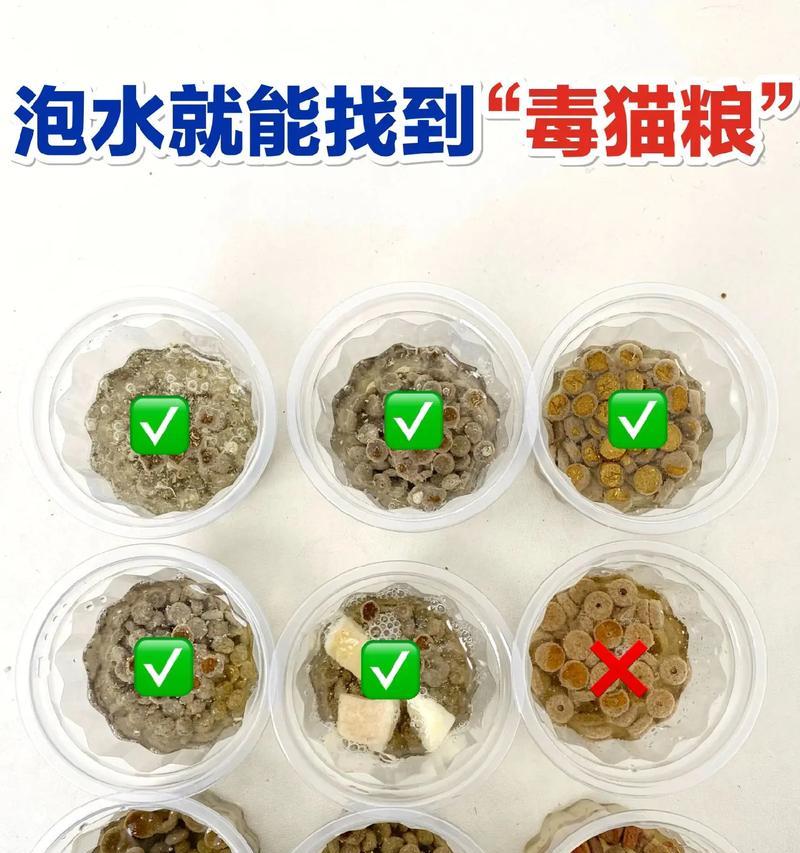 为什么泡猫粮水里面有粉状物？这是否正常现象？