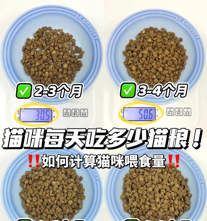 猫粮每顿怎么喂？喂食量和频率有标准吗？