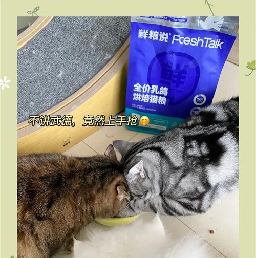 小猫日常喂食猫粮的正确方式？