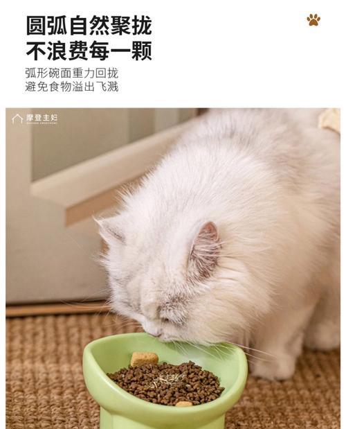 猫老是踢翻猫粮如何解决？猫粮碗的选择和放置有什么技巧？