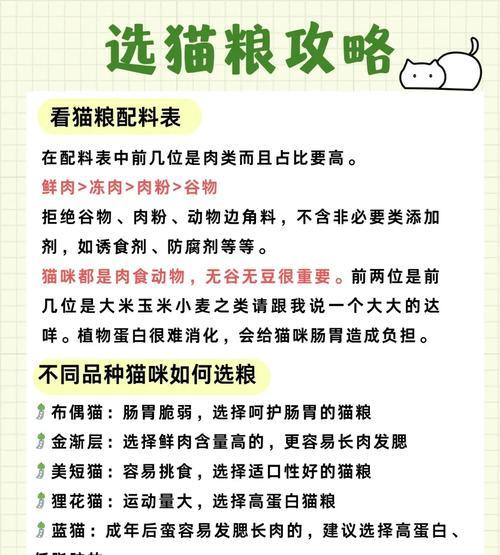 选择适合狸猫的猫粮需要注意哪些成分？