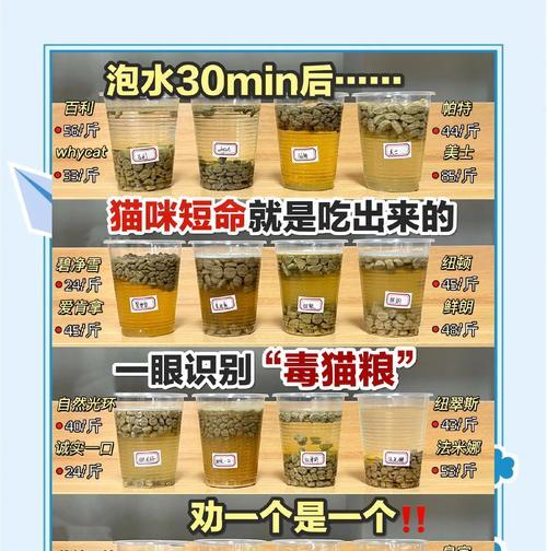 普通猫粮掺什么好一点呢？如何改善普通猫粮的营养成分？