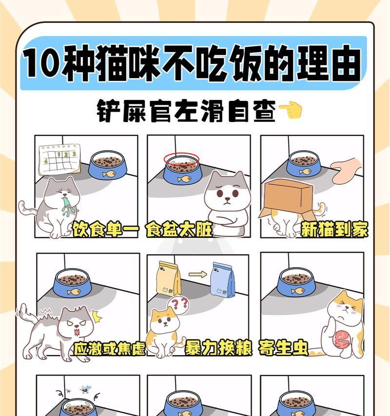 吃猫粮会导致猫咪变胖吗？原因是什么？