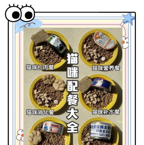 如何为十三只猫合理配粮？营养均衡的配餐方案是什么？