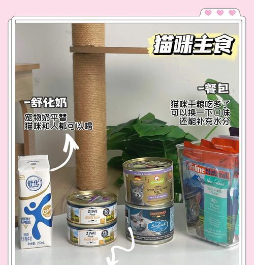 如何为十三只猫合理配粮？营养均衡的配餐方案是什么？