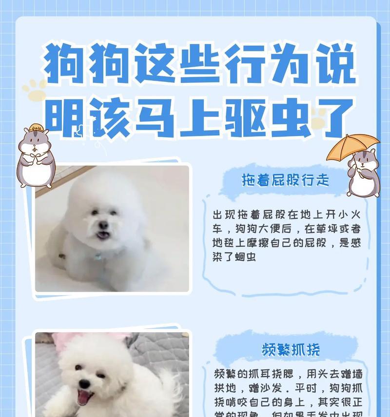 疫情期间狗狗误食猫粮会致命吗？原因是什么？
