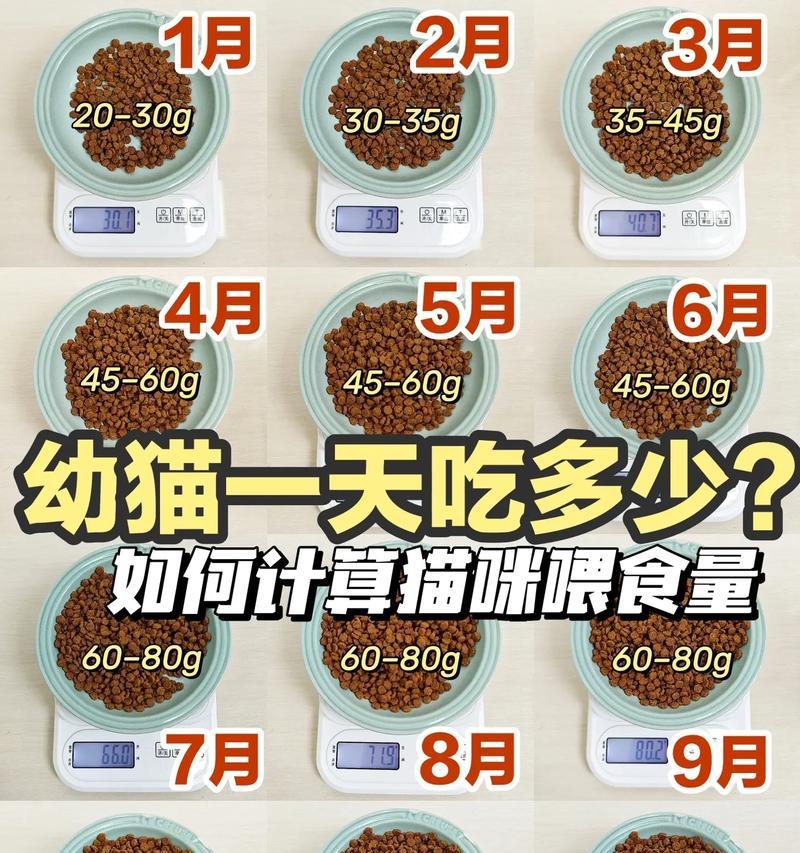 猫粮喂养过多会有什么问题？