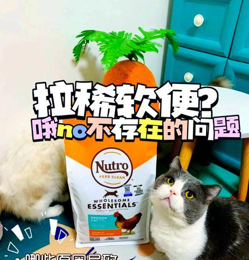 小猫吃猫粮拉稀该喂什么