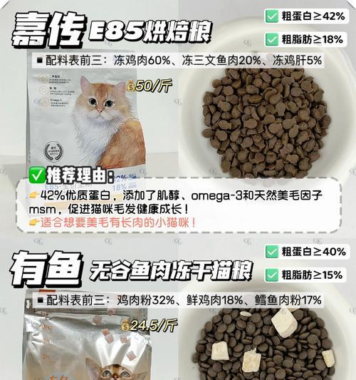 哪些猫粮会导致猫咪掉毛严重？如何选择合适的猫粮？