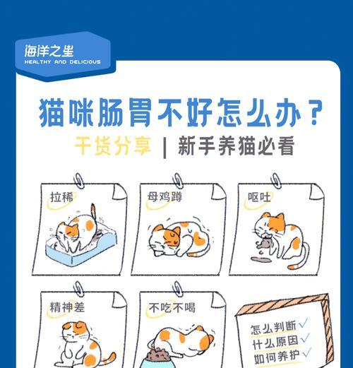 猫粮导致消化不良怎么办？