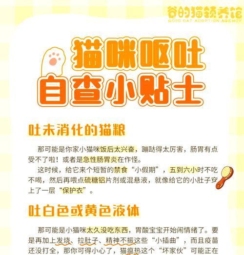 如果猫咪不吐猫粮，应该怎么办？有哪些解决方法？